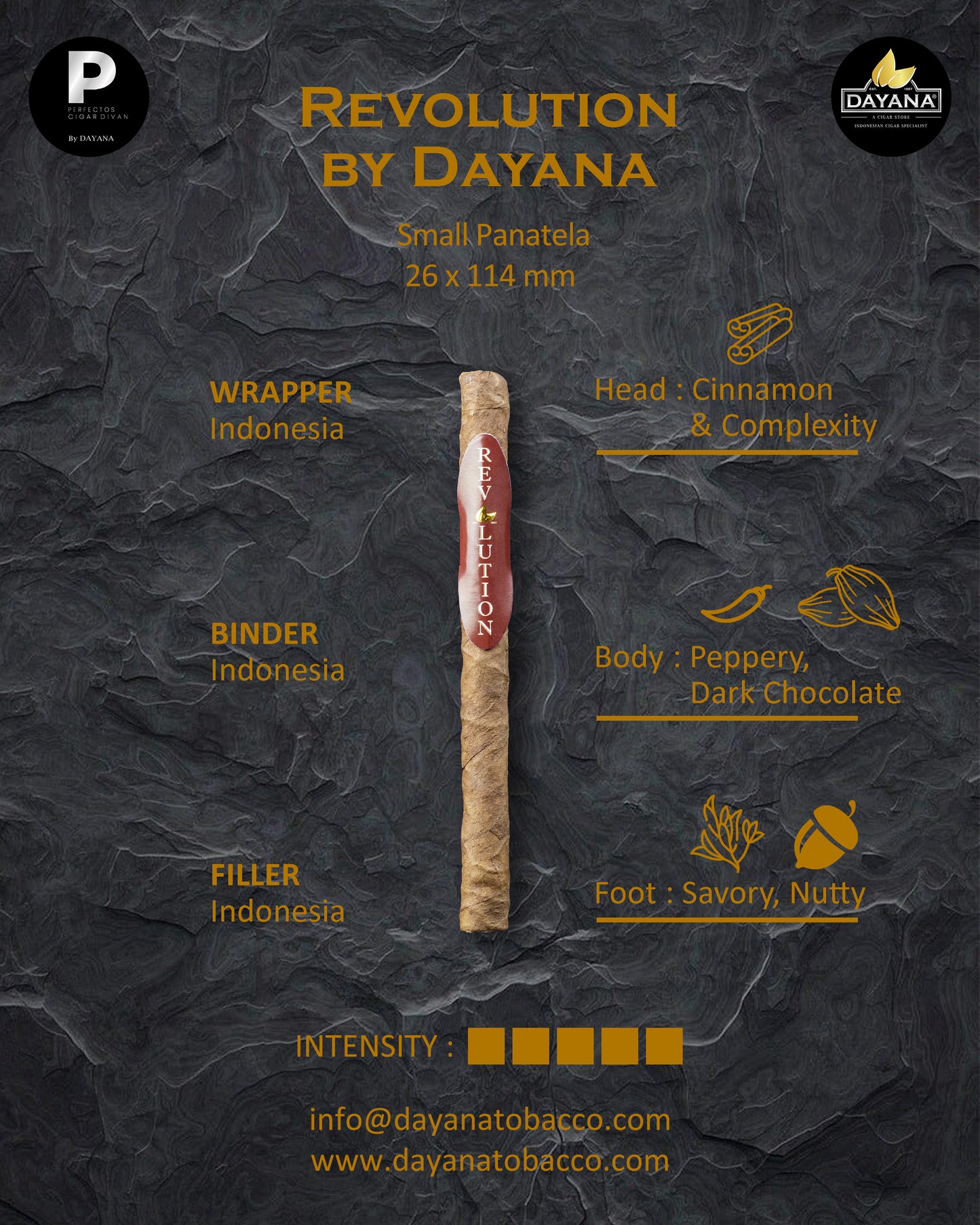 Revolution by Dayana