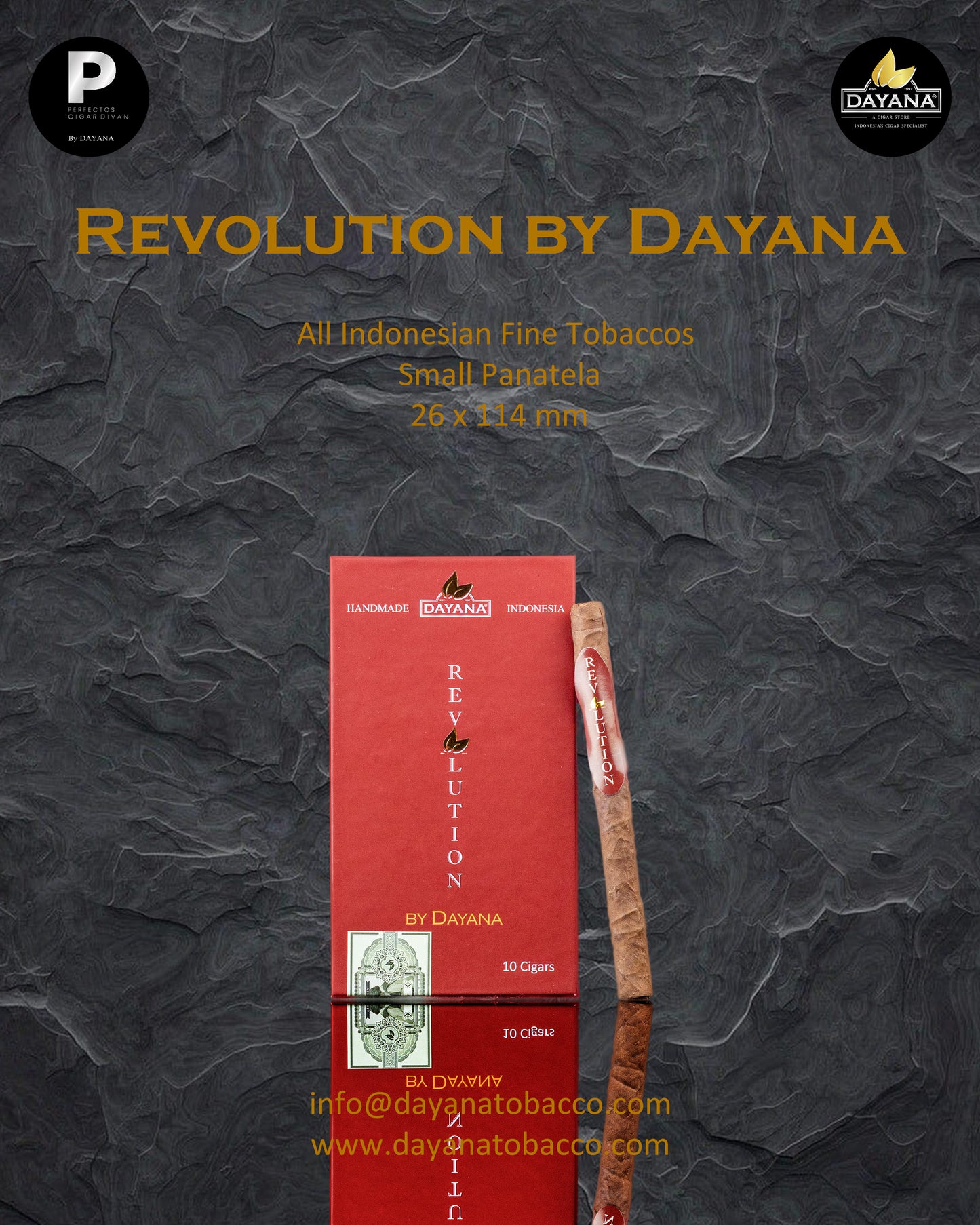 Revolution by Dayana